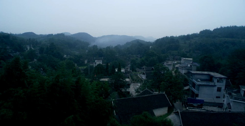《李楠的选择》